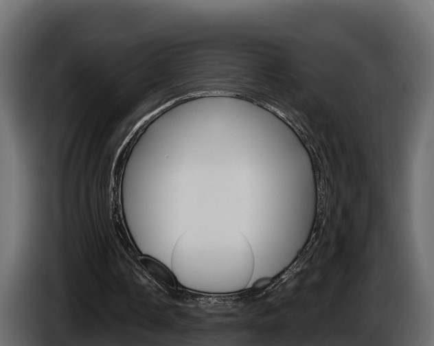 X0000086020338200703230937