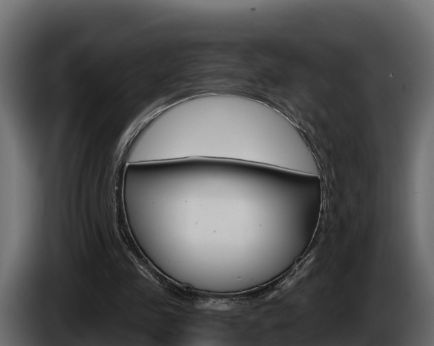 X0000086020341200703230937