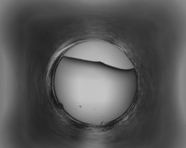 X0000086020343200703230937