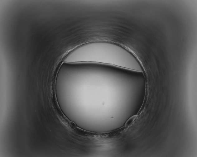 X0000086020345200703230937