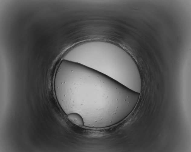 X0000086020347200703230937
