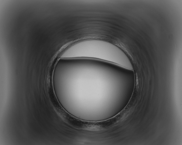 X0000086020348200703230937