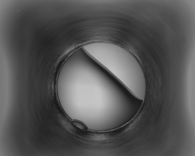 X0000086020349200703230937
