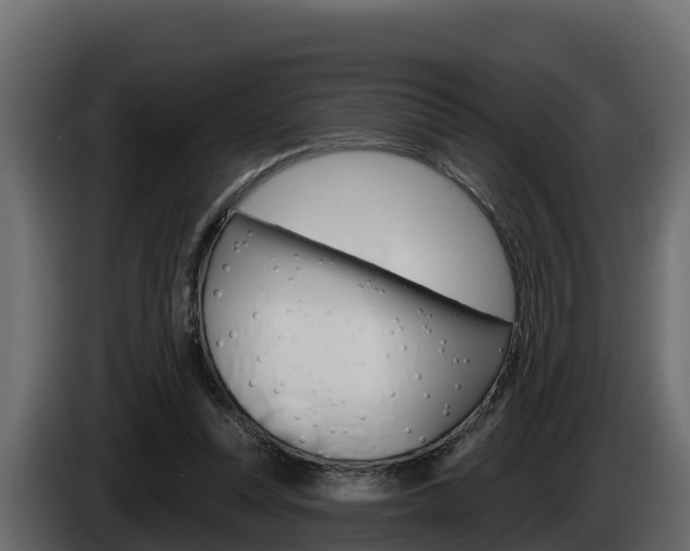 X0000086020351200703230937
