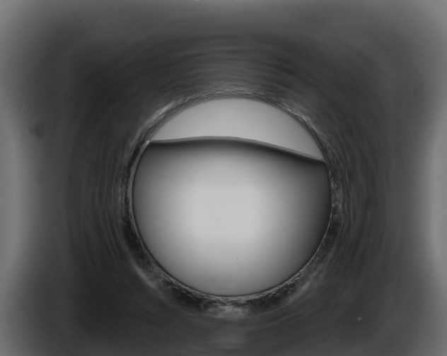 X0000086020352200703230937