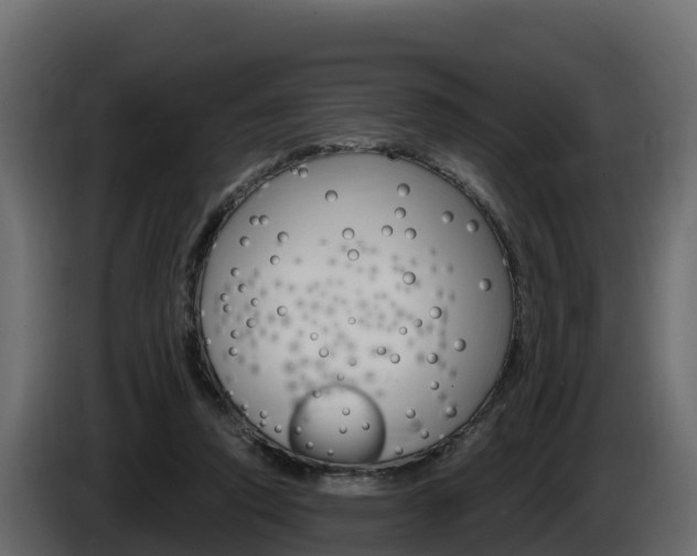 X0000086020354200703230937