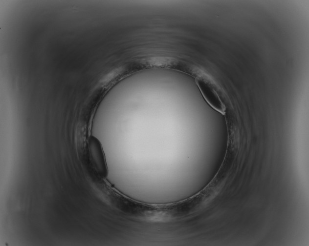 X0000086020356200703230938