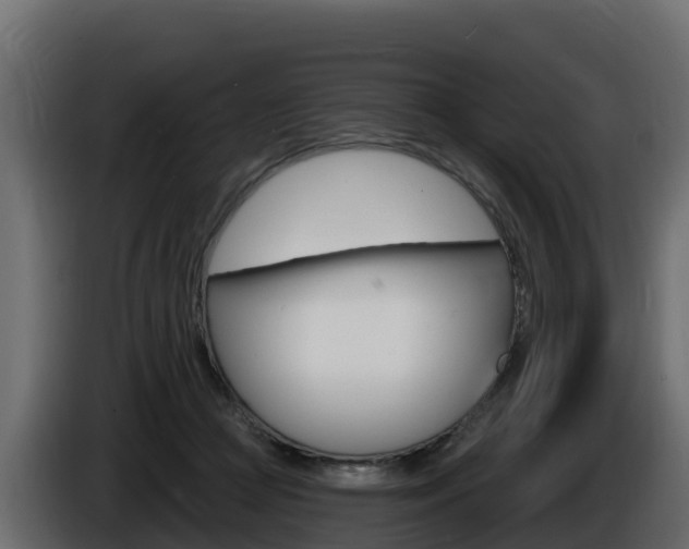 X0000086020361200703230938