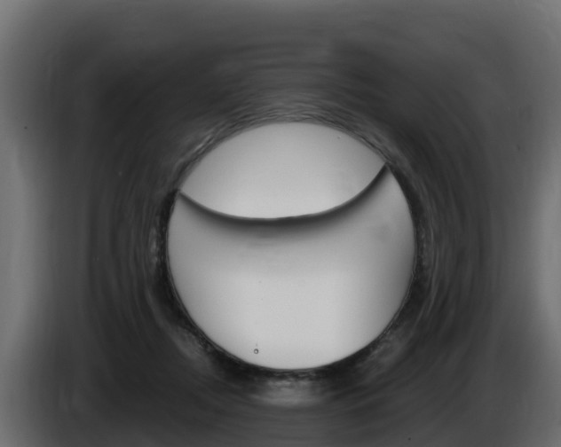 X0000086020362200703230938