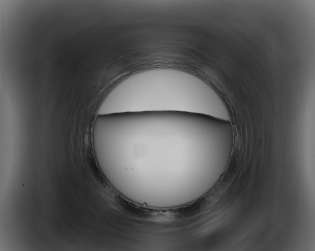X0000086020363200703230938