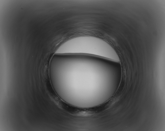 X0000086020364200703230938