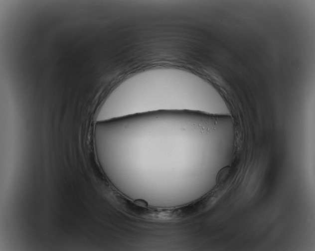 X0000086020365200703230938