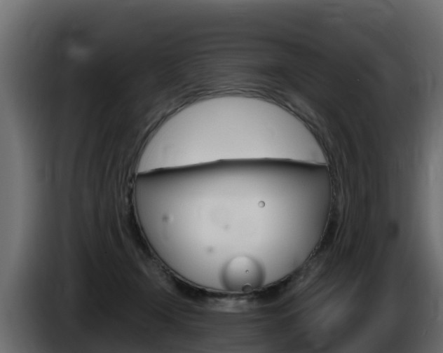 X0000086020366200703230938