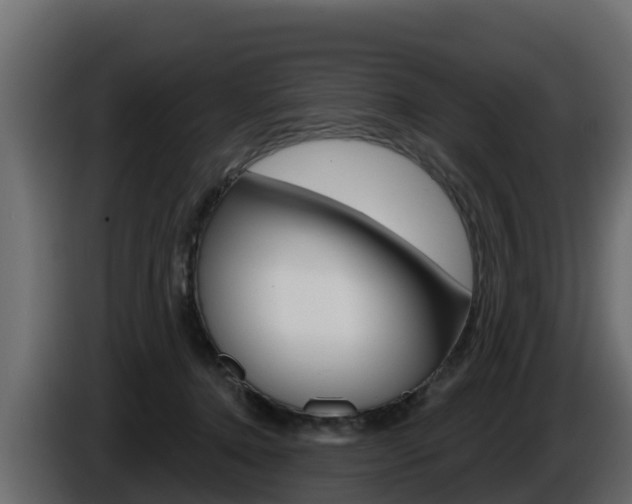 X0000086020368200703230938