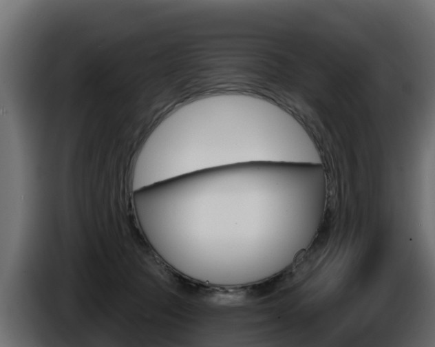 X0000086020369200703230938