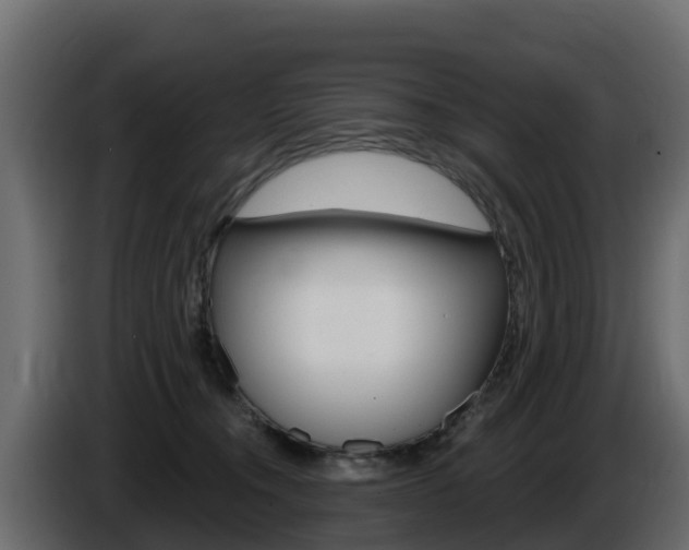 X0000086020372200703230938