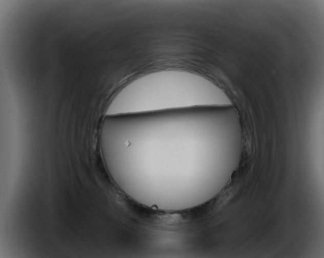 X0000086020374200703230938