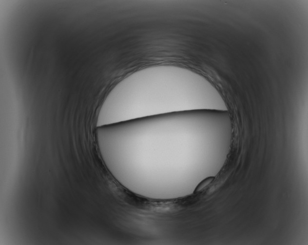 X0000086020377200703230938