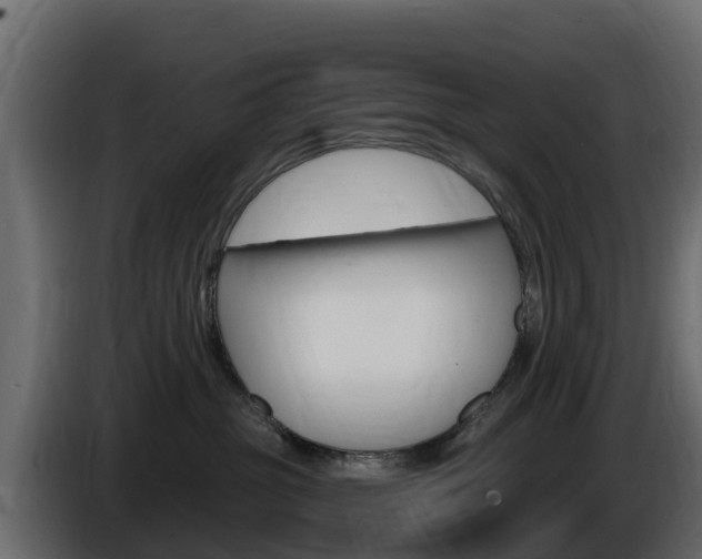X0000086020381200703230938