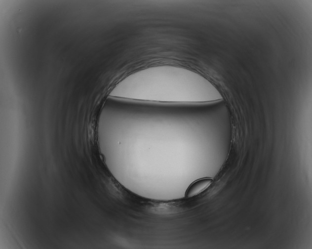 X0000086020382200703230938