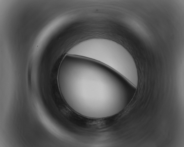 X0000086020383200703230938