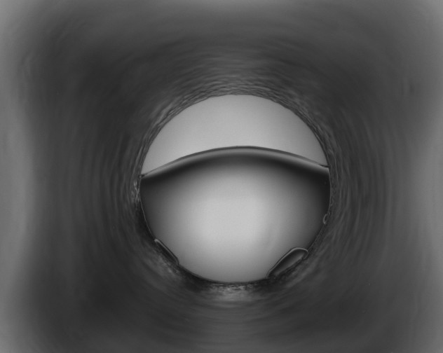 X0000086020384200703230938