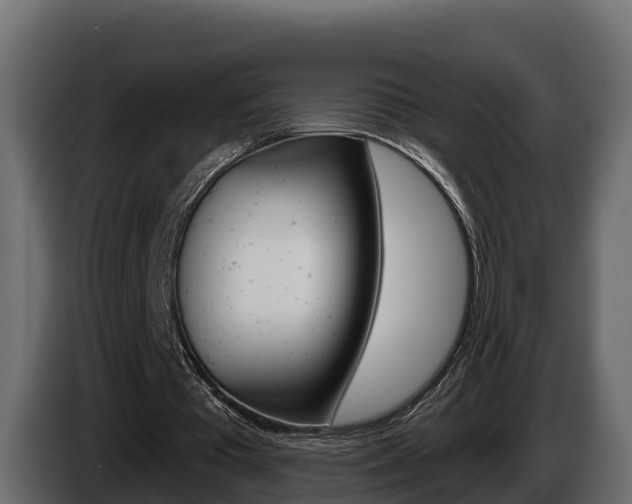 X0000086020385200703230937