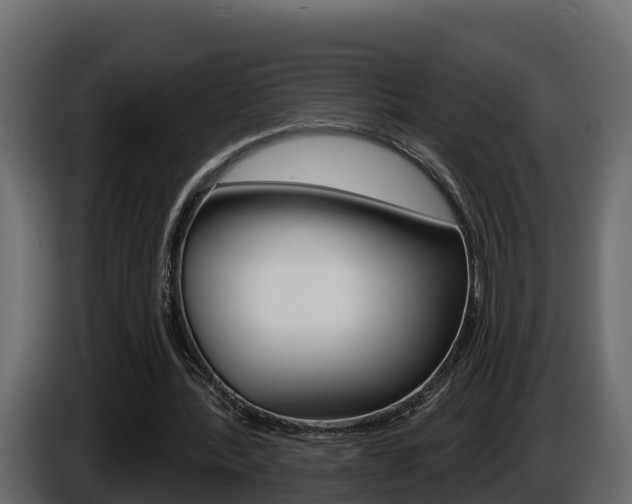 X0000086020388200703230937
