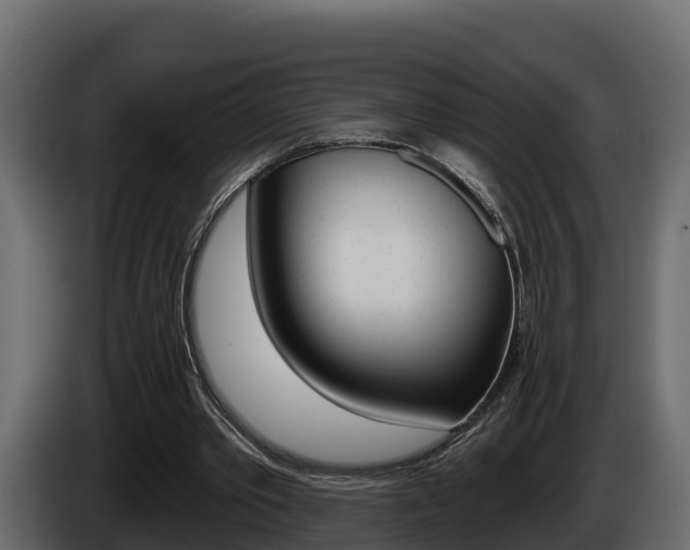 X0000086020389200703230937