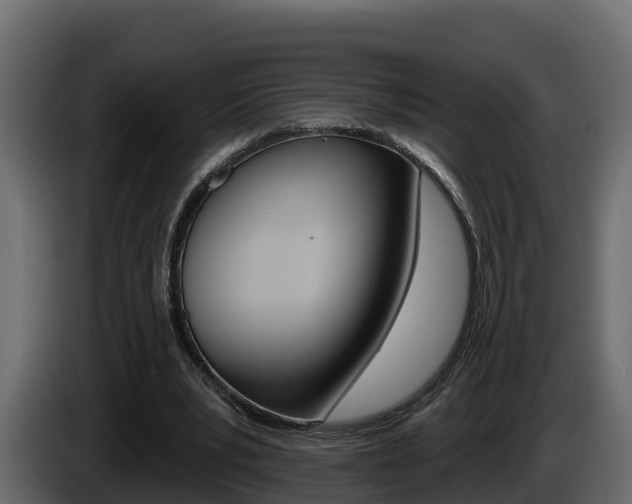 X0000086020391200703230937