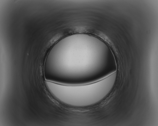 X0000086020393200703230937