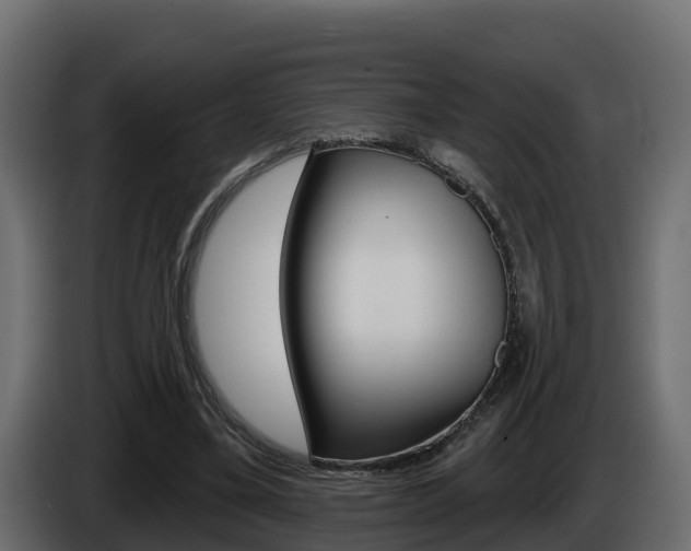 X0000086020395200703230937