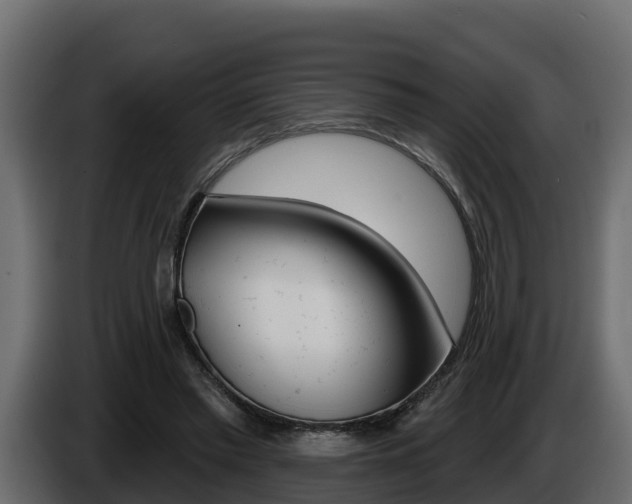 X0000086020397200703230937