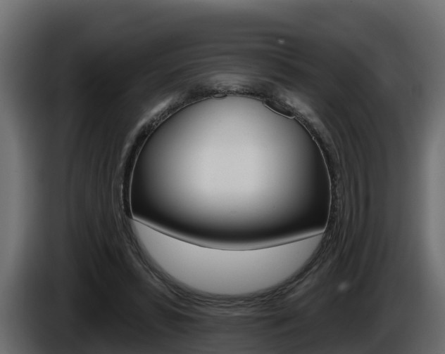 X0000086020399200703230937