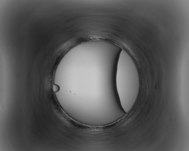 X0000086020402200703230937