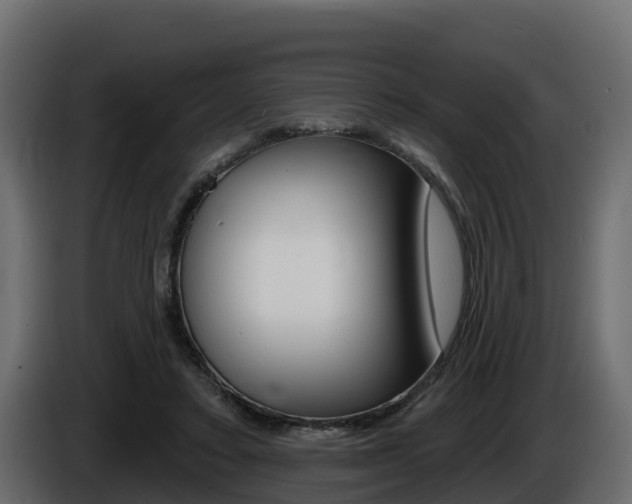 X0000086020403200703230937