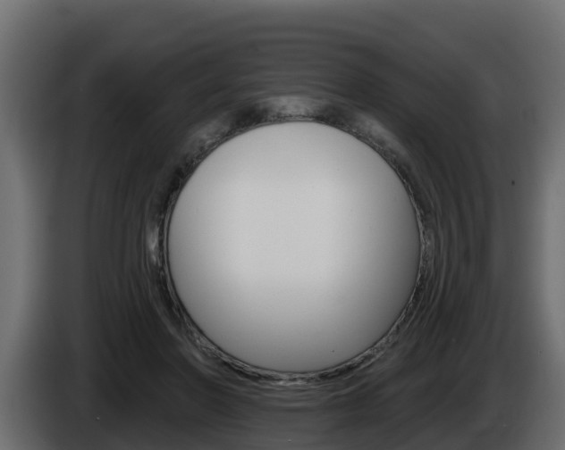 X0000086020406200703230937