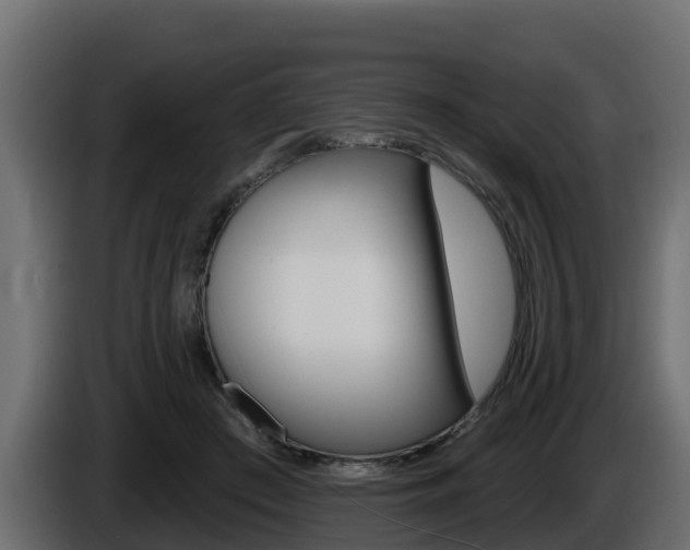 X0000086020409200703230937
