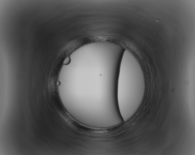 X0000086020410200703230937