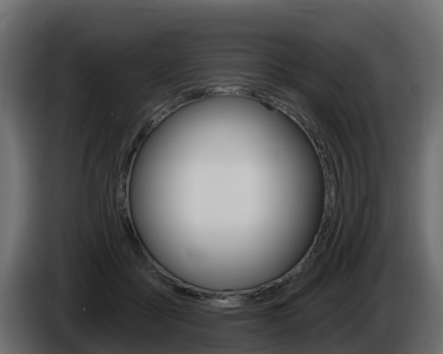 X0000086020411200703230937