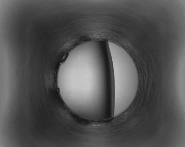 X0000086020416200703230937