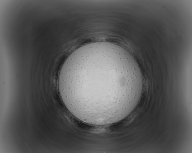 X0000086020418200703230937