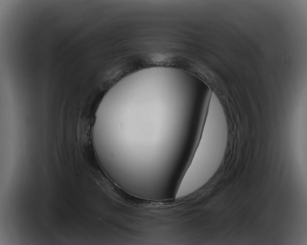 X0000086020421200703230937