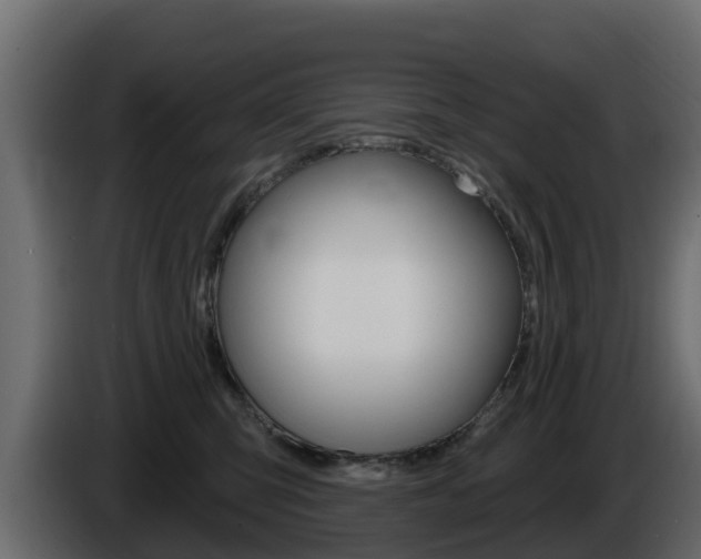 X0000086020423200703230937