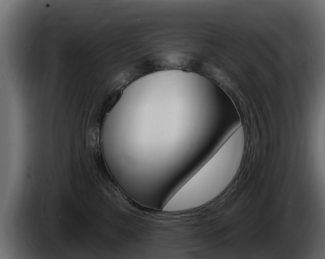 X0000086020425200703230937