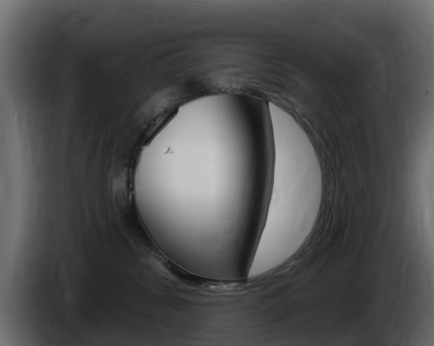 X0000086020428200703230937