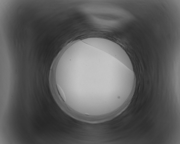 X0000086020431200703230937