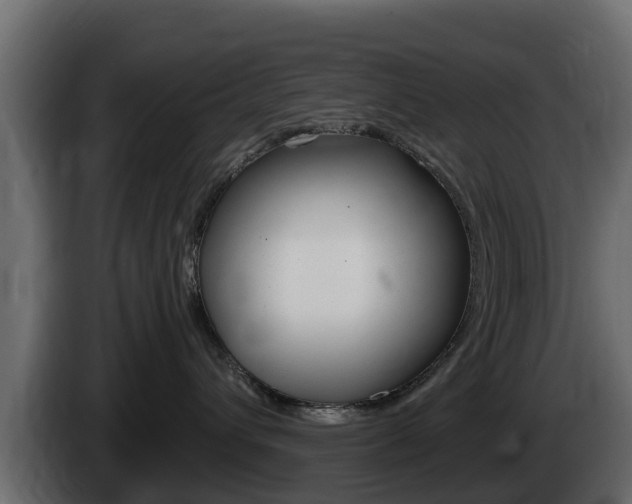 X0000086020432200703230937