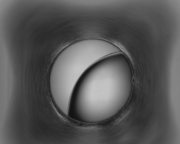 X0000086020433200703230936