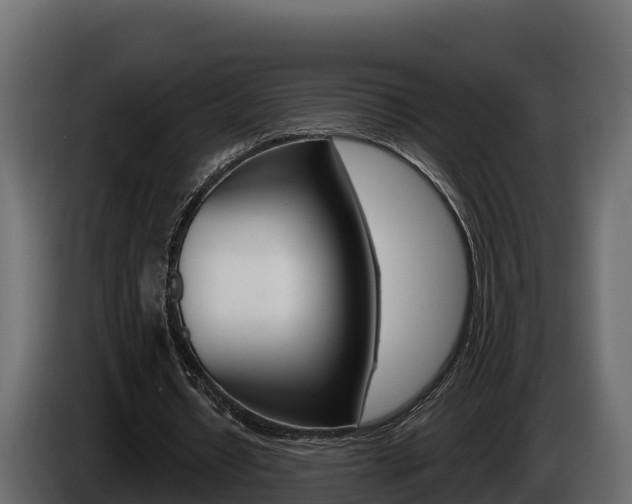 X0000086020434200703230936